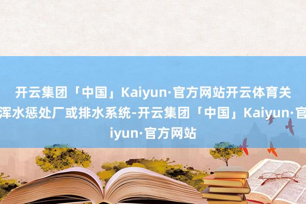 开云集团「中国」Kaiyun·官方网站开云体育关于大型浑水惩处厂或排水系统-开云集团「中国」Kaiyun·官方网站