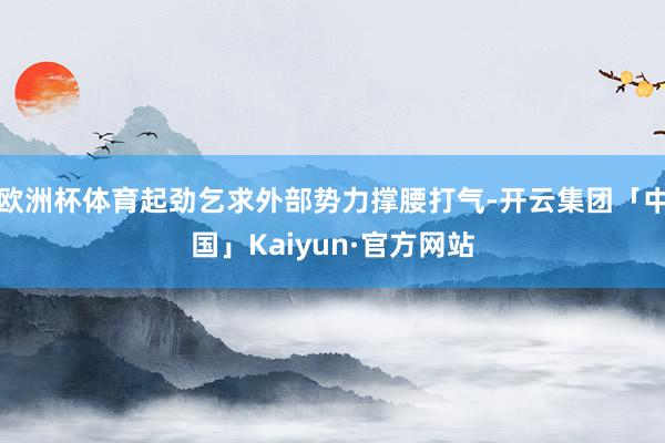 欧洲杯体育起劲乞求外部势力撑腰打气-开云集团「中国」Kaiyun·官方网站