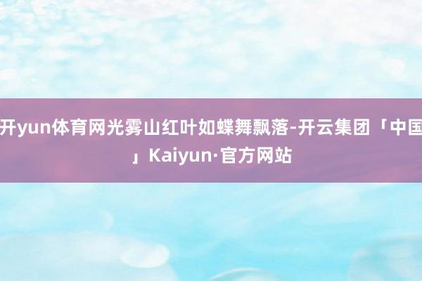 开yun体育网光雾山红叶如蝶舞飘落-开云集团「中国」Kaiyun·官方网站